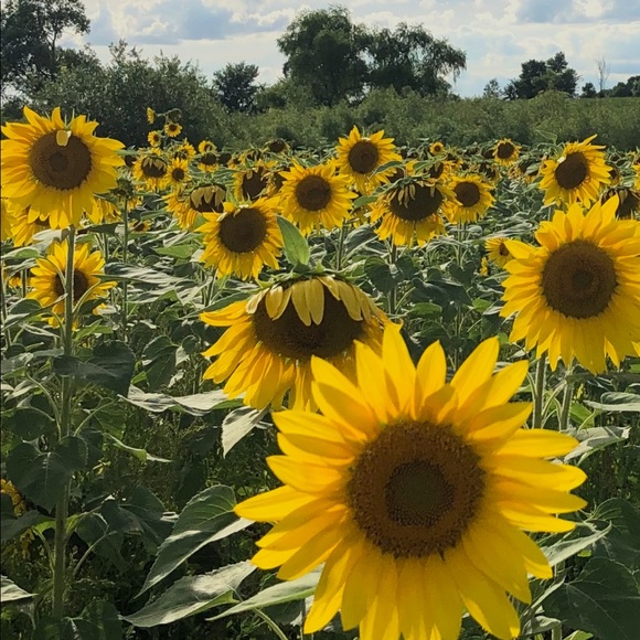 Meet your Posher, Madeline - Picture 1 of 1